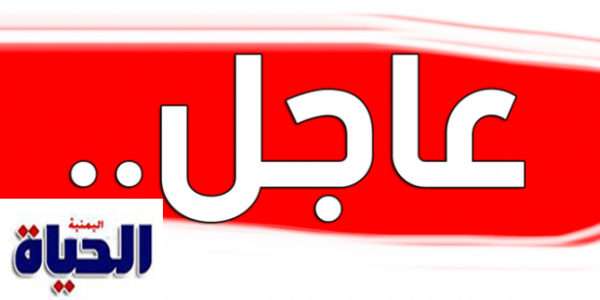 وزير الخارجية اليمني يكشف اسماء أعضاء ” الحكومة” في لجنة تنسيق إعادة الانتشار بالحديدة ” أسماء”