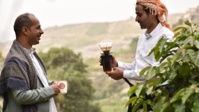صورة #اليوم_العالمي_للقهوة #البن_أصله_يمني