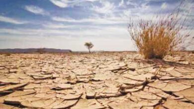 صورة ارتفاع التصحر في اليمن بنسبة 7% خلال 9 سنوات